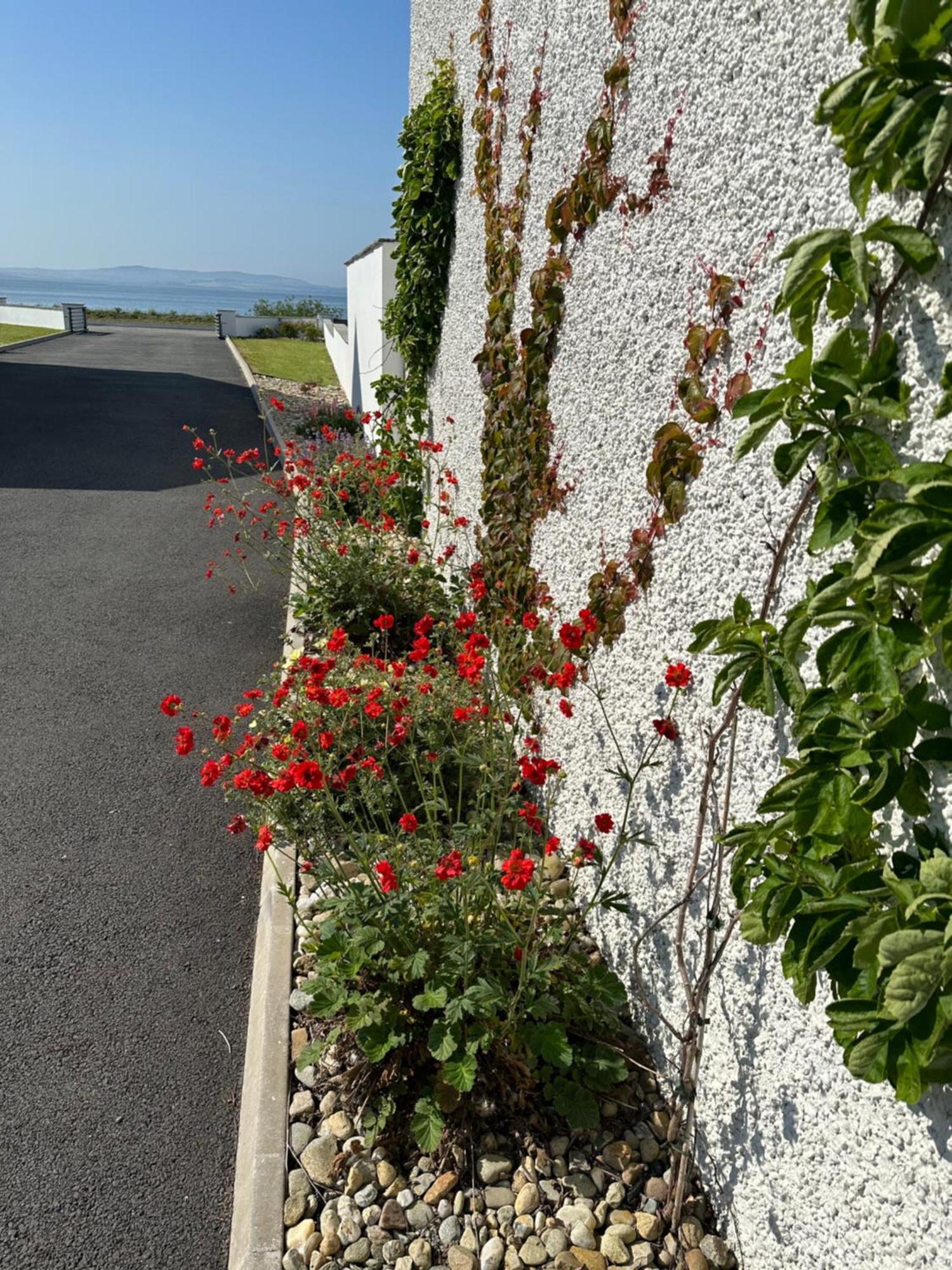 Willa Sea Vista - Rathmullan Zewnętrze zdjęcie